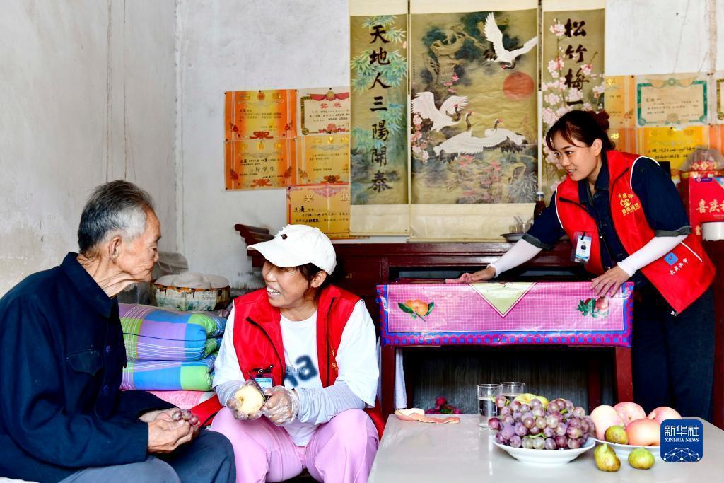 大宝官方网站