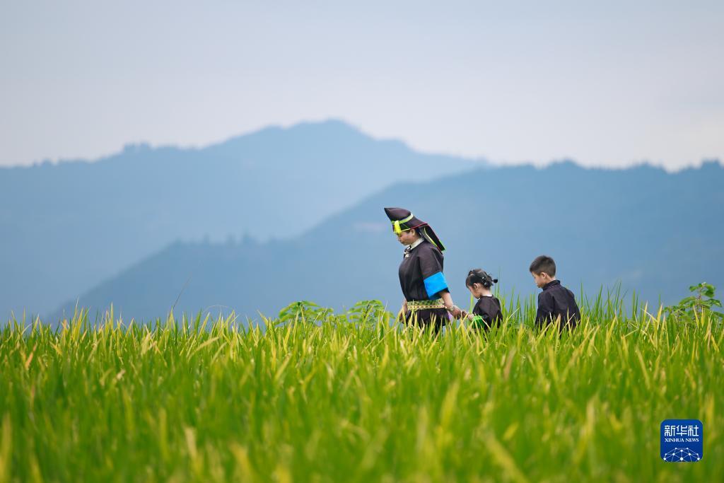 玛丽水果机苹果版下载
